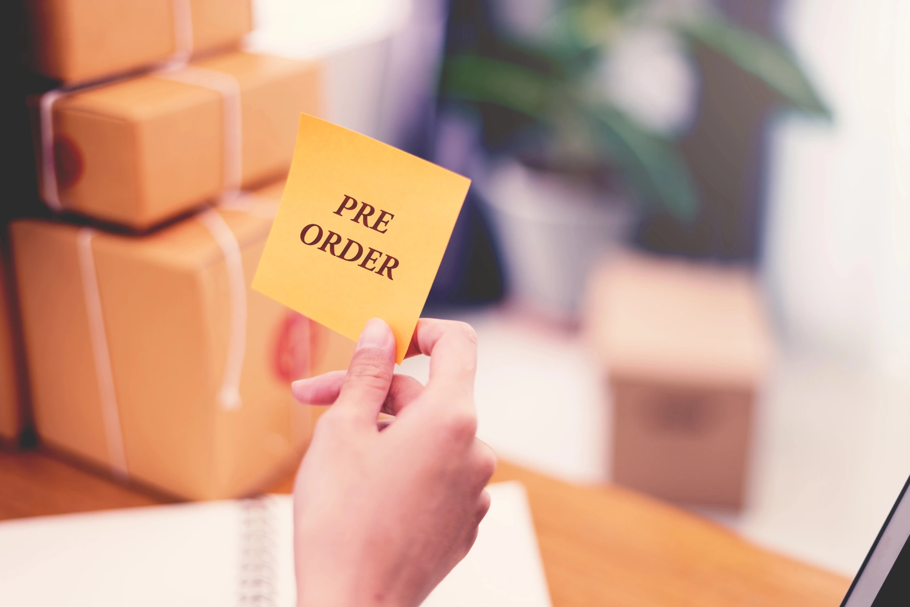 Online Course Pre-Launch